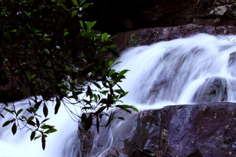 Bazhai Gully Scenic Area